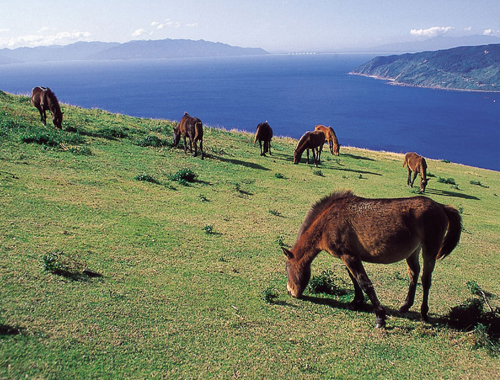 宮崎　サーフガイド 観光